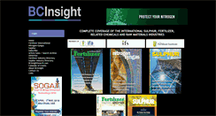 Desktop Screenshot of bcinsight.com